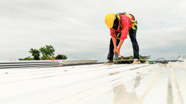 Professional Roofing Service in Coats Bend, AL