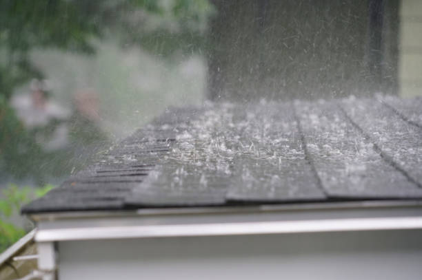 Best 4 Ply Roofing  in Coats Bend, AL